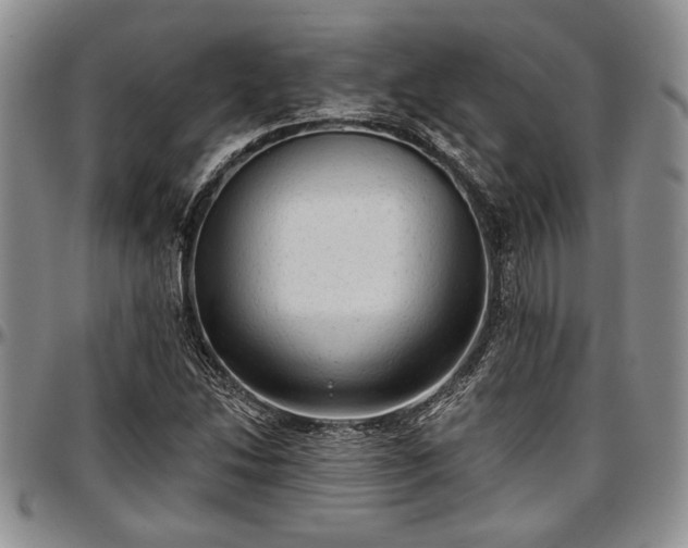 X0000097491214200802291423