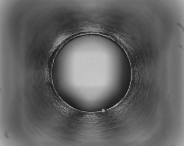 X0000097491215200802291423