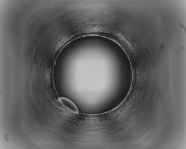 X0000097491217200802291423