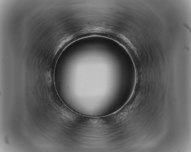 X0000097491218200802291423