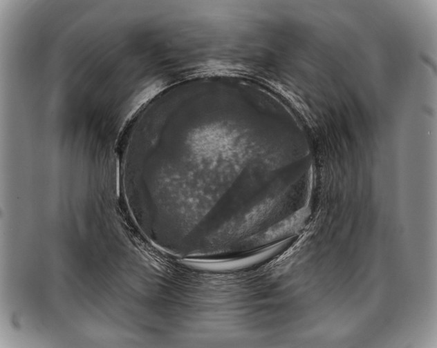 X0000097491219200802291423