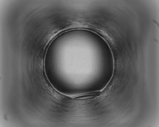 X0000097491220200802291423