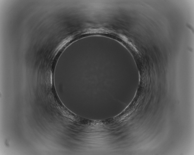 X0000097491221200802291423