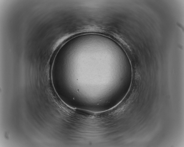 X0000097491222200802291423