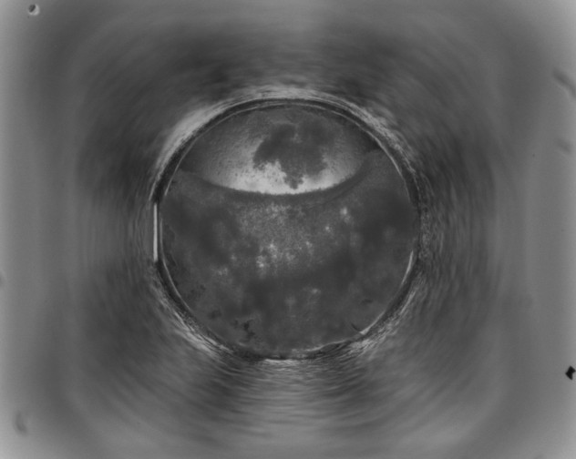 X0000097491223200802291423