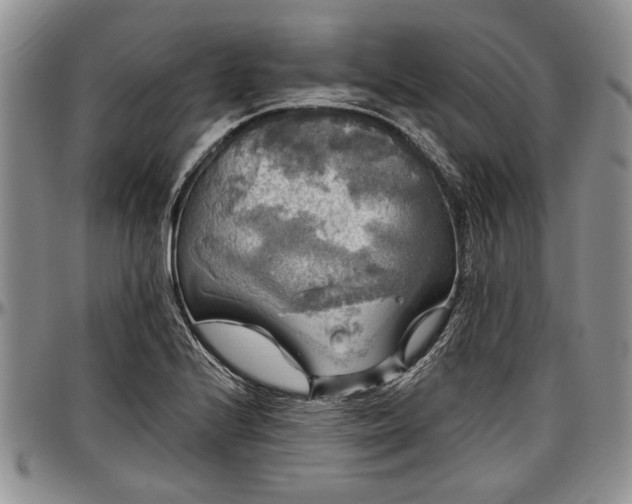 X0000097491224200802291423