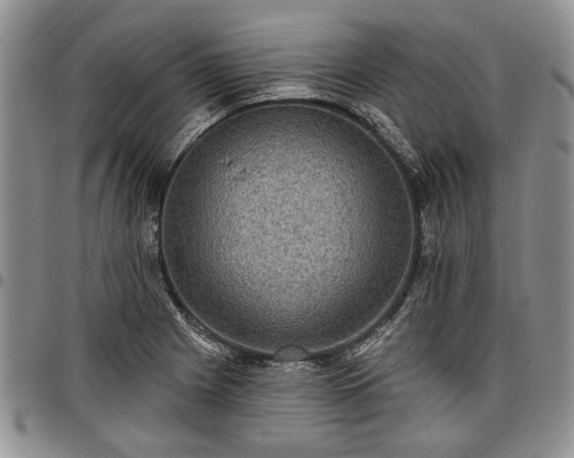 X0000097491225200802291423