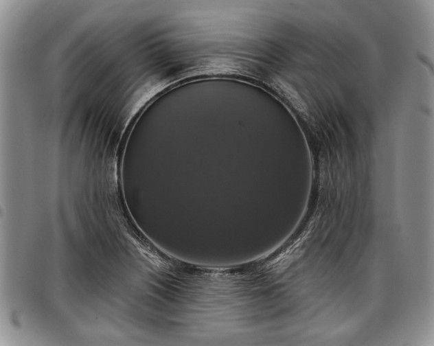 X0000097491226200802291423