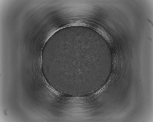 X0000097491228200802291423