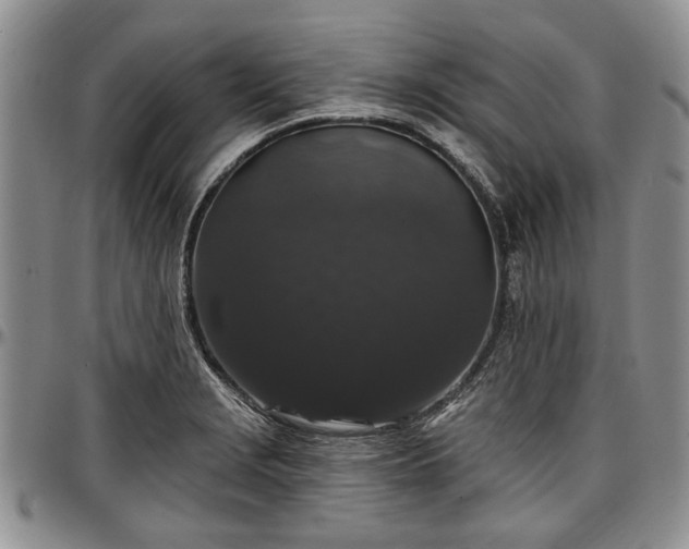 X0000097491229200802291423