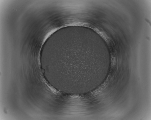 X0000097491230200802291424