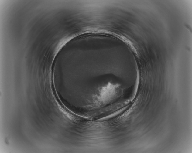 X0000097491231200802291424