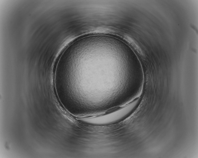 X0000097491232200802291424