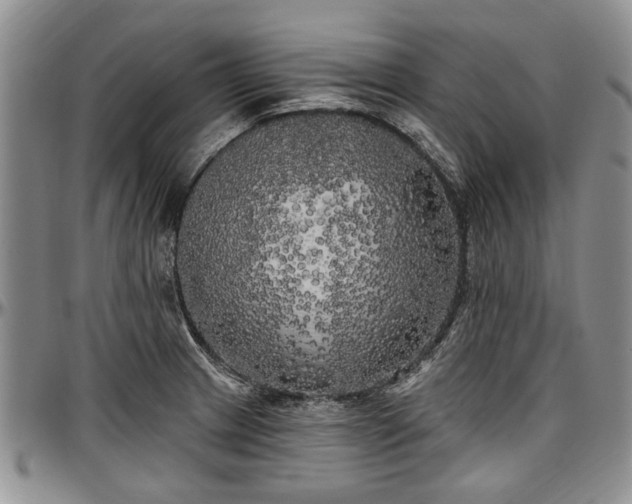 X0000097491233200802291424