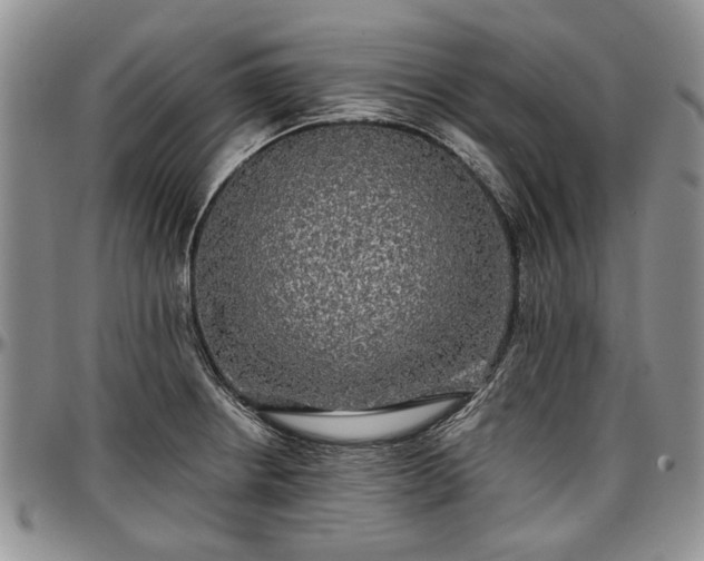 X0000097491234200802291424