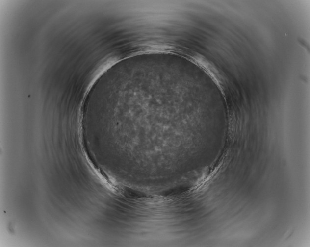 X0000097491235200802291424