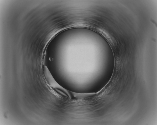 X0000097491236200802291424