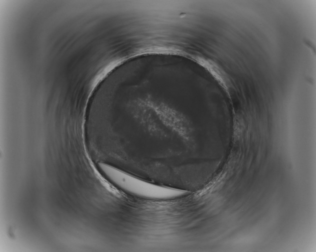 X0000097491237200802291424