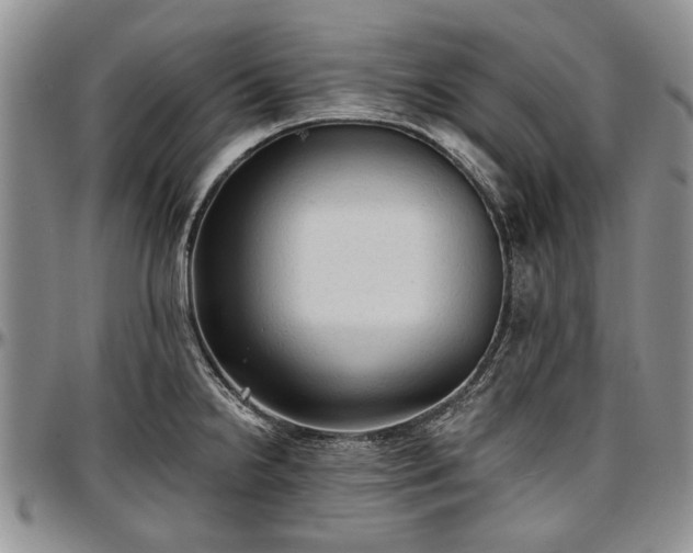 X0000097491238200802291424