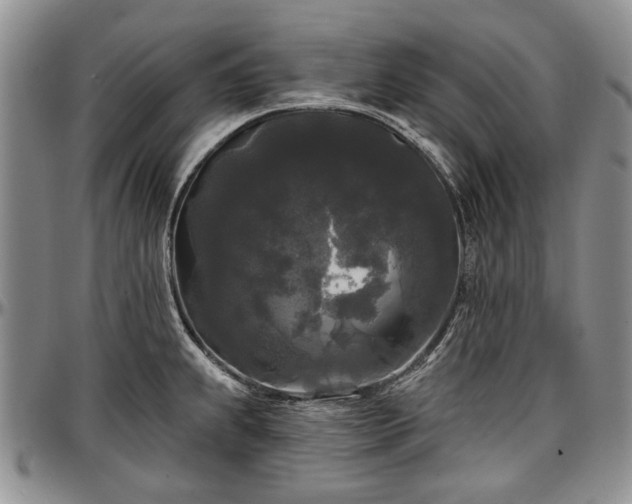 X0000097491239200802291424