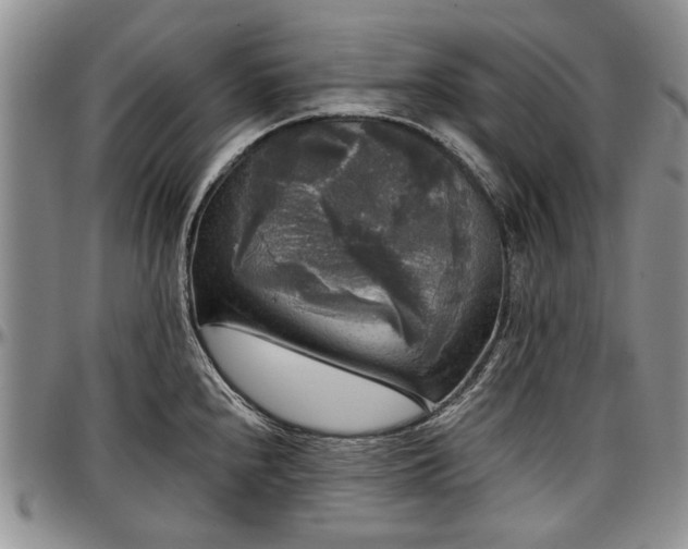 X0000097491240200802291424