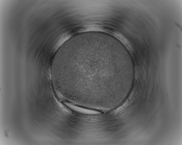 X0000097491241200802291424