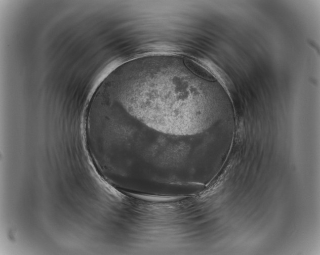 X0000097491243200802291424