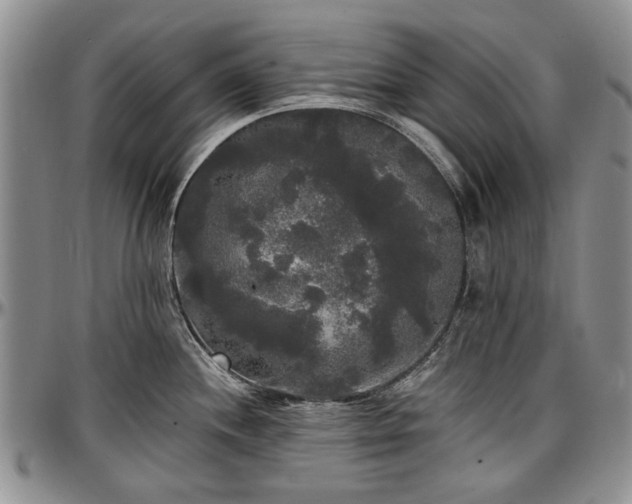 X0000097491244200802291424