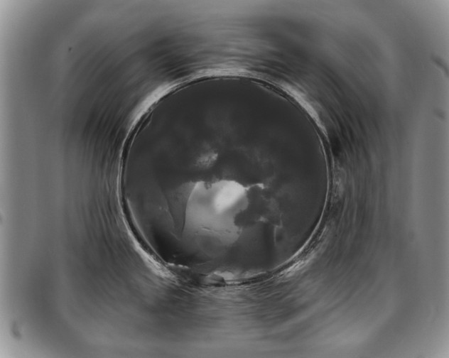 X0000097491245200802291424