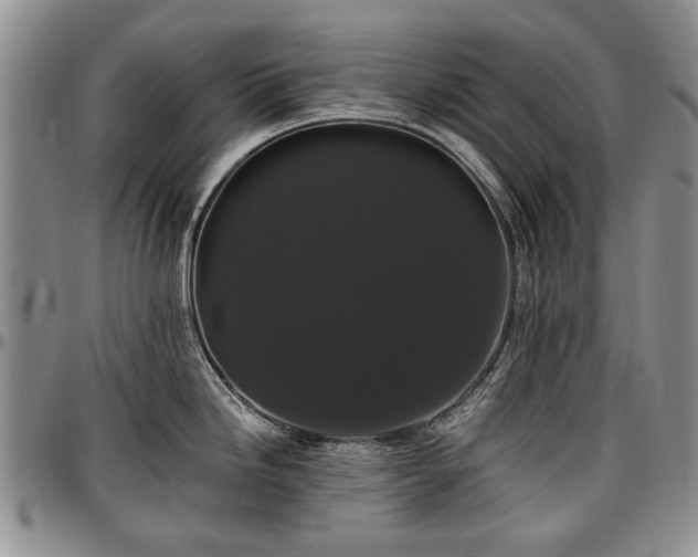 X0000097491246200802291424