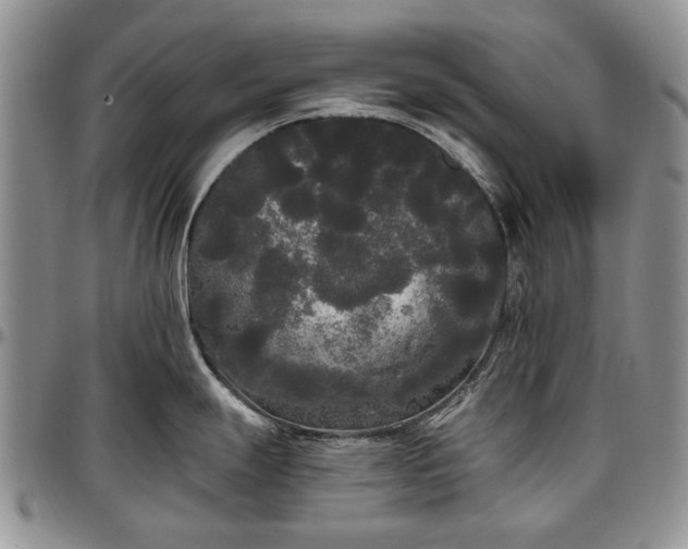 X0000097491247200802291424