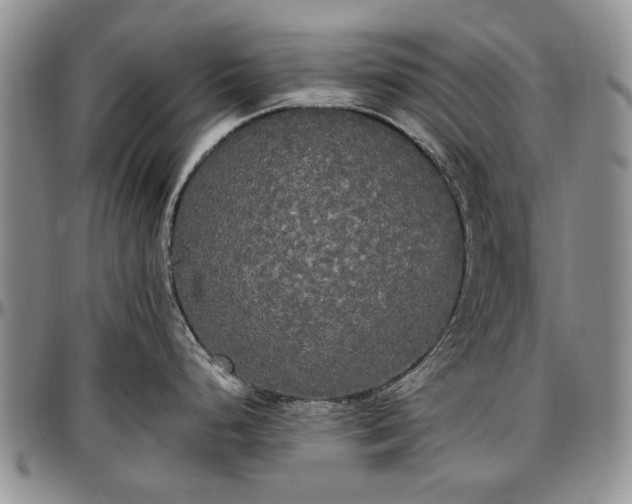 X0000097491248200802291424