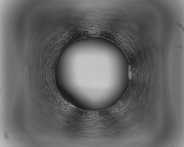 X0000097491249200802291423