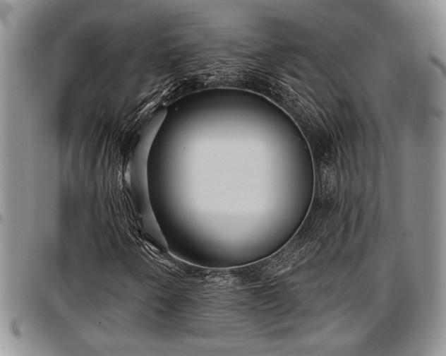 X0000097491250200802291423