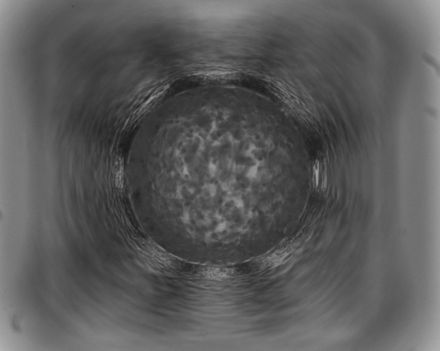 X0000097491251200802291423