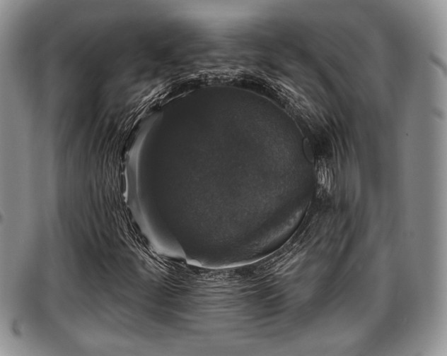 X0000097491252200802291423