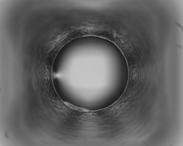 X0000097491253200802291423