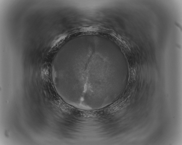 X0000097491254200802291423