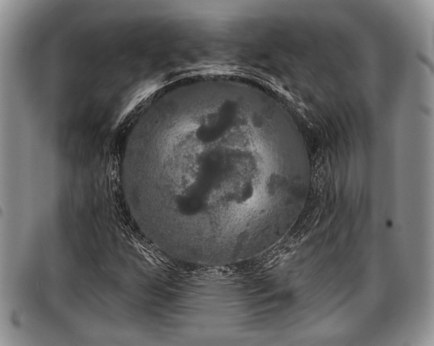 X0000097491255200802291423