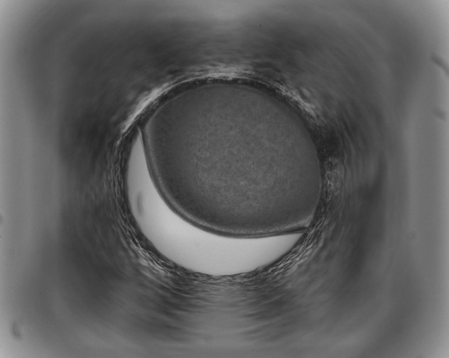 X0000097491256200802291423