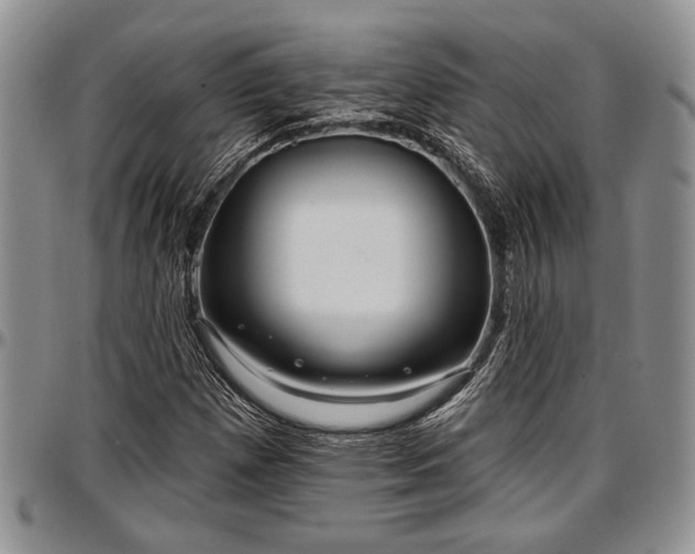 X0000097491257200802291423