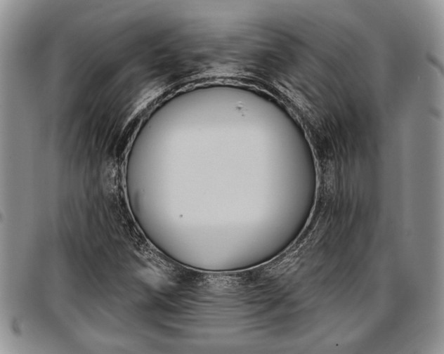 X0000097491258200802291423