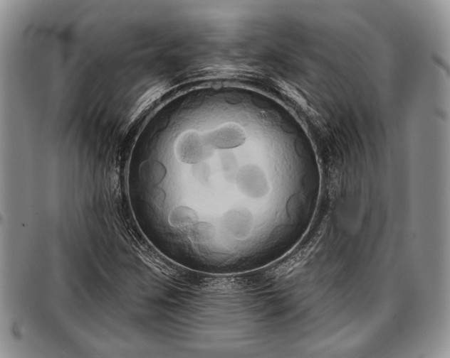 X0000097491259200802291423