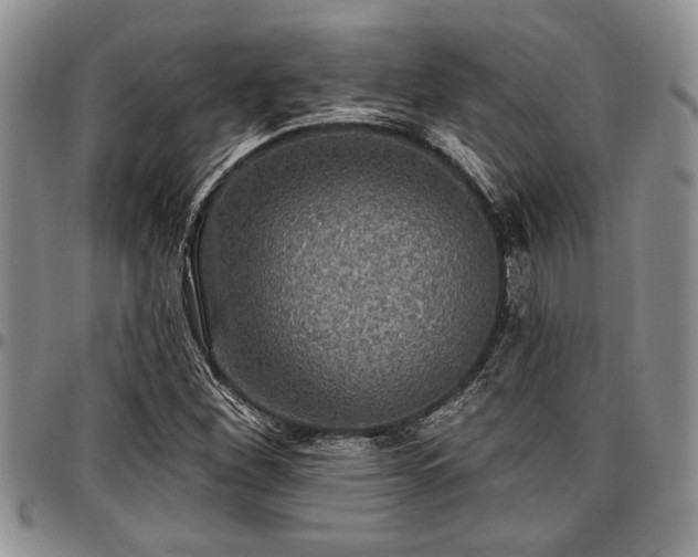 X0000097491260200802291423