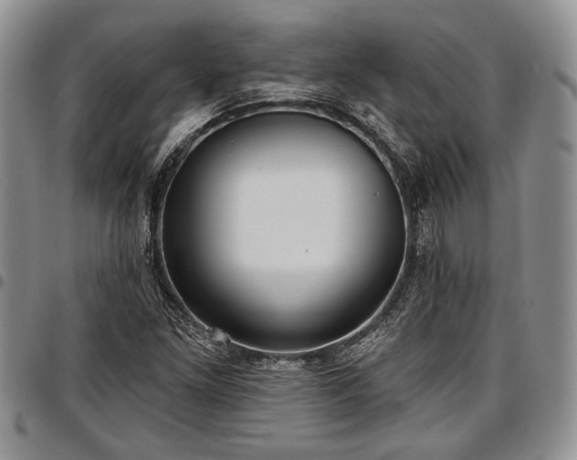 X0000097491261200802291423