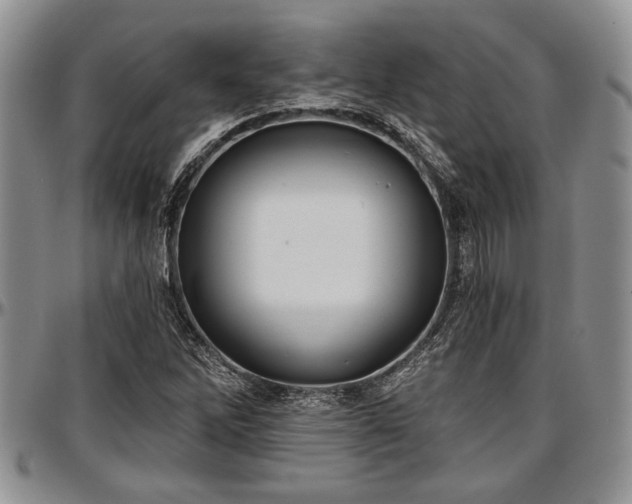 X0000097491262200802291423