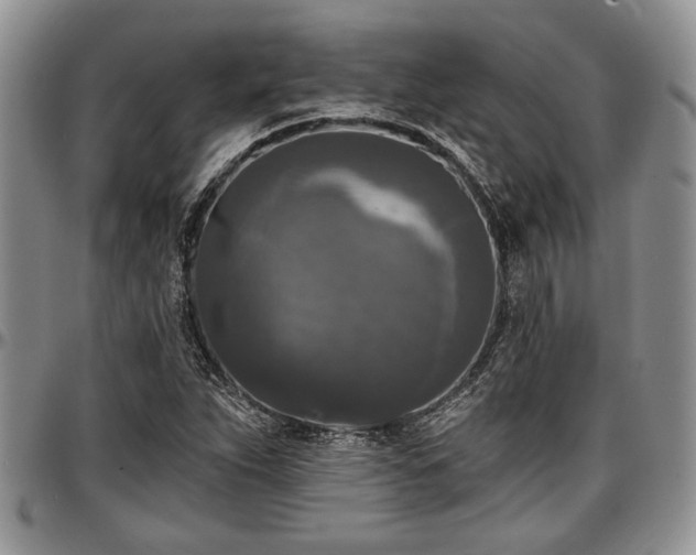 X0000097491263200802291423