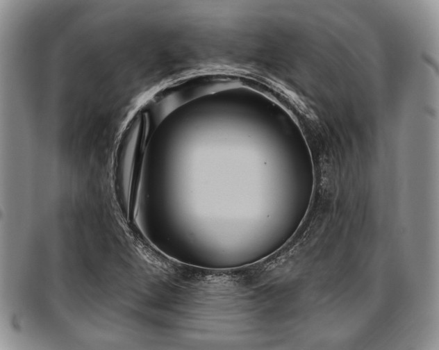 X0000097491264200802291423