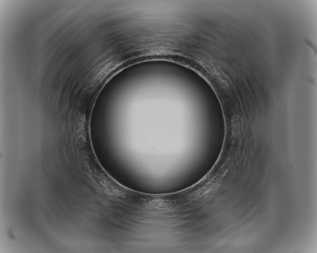 X0000097491265200802291423