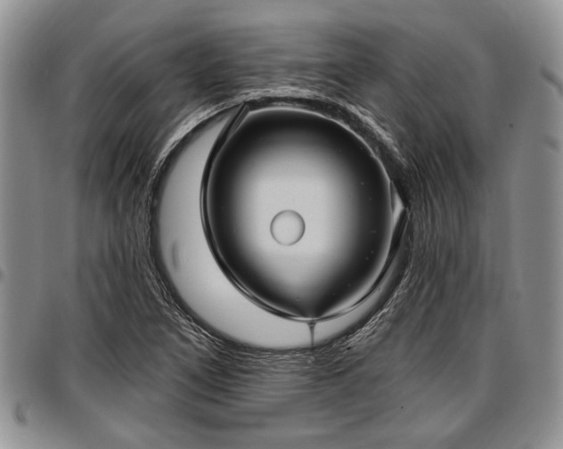 X0000097491266200802291423